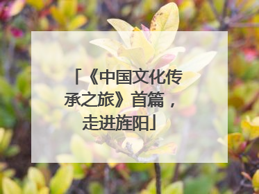 《中国文化传承之旅》首篇，走进旌阳
