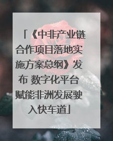 《中非产业链合作项目落地实施方案总纲》发布 数字化平台赋能非洲发展驶入快车道