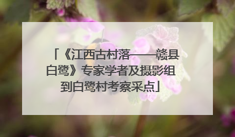 《江西古村落——赣县白鹭》专家学者及摄影组到白鹭村考察采点