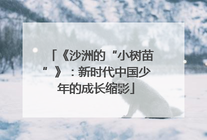 《沙洲的“小树苗”》：新时代中国少年的成长缩影