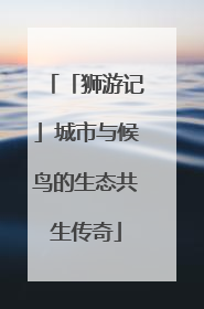「狮游记」城市与候鸟的生态共生传奇
