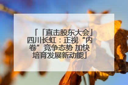 「直击股东大会」四川长虹：正视“内卷”竞争态势 加快培育发展新动能