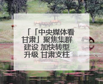 「中央媒体看甘肃」聚焦集群建设 加快转型升级 甘肃支柱产业增势强劲