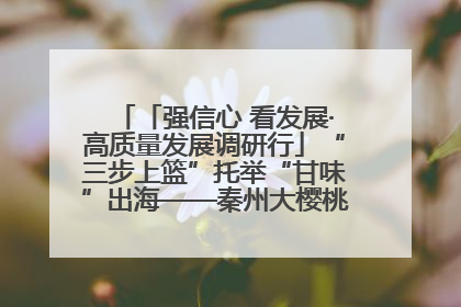 「强信心 看发展·高质量发展调研行」“三步上篮”托举“甘味”出海——秦州大樱桃高质量发展动作分解