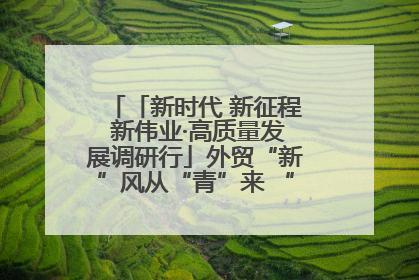 「新时代 新征程 新伟业·高质量发展调研行」外贸“新”风从“青”来 “双向奔赴”启新程