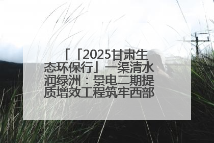 「2025甘肃生态环保行」一渠清水润绿洲：景电二期提质增效工程筑牢西部生态安全屏障