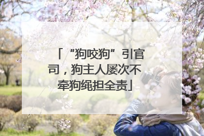 “狗咬狗”引官司，狗主人屡次不牵狗绳担全责