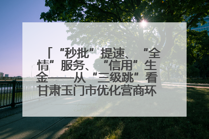 “秒批”提速、“全情”服务、“信用”生金——从“三级跳”看甘肃玉门市优化营商环境的进阶之路