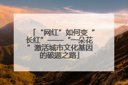 “网红”如何变“长红”——“一朵花”激活城市文化基因的破题之路