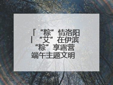 “粽”情洛阳丨“艾”在伊滨 “粽”享露营 端午主题文明实践活动启动