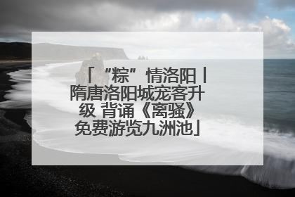 “粽”情洛阳丨隋唐洛阳城宠客升级 背诵《离骚》免费游览九洲池