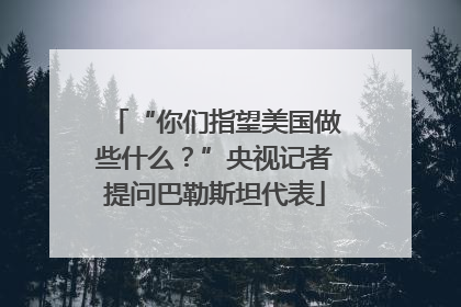 “你们指望美国做些什么？”央视记者提问巴勒斯坦代表