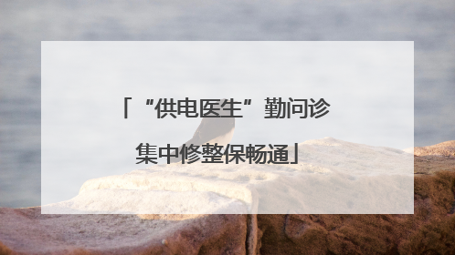 “供电医生”勤问诊 集中修整保畅通
