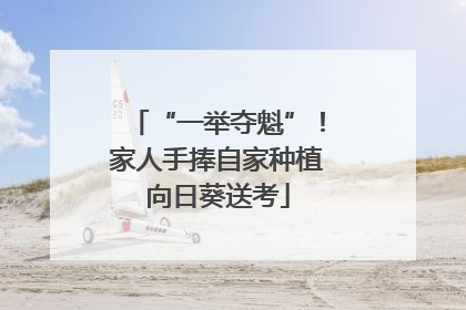 “一举夺魁”！家人手捧自家种植向日葵送考