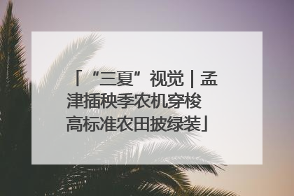 “三夏”视觉｜孟津插秧季农机穿梭 高标准农田披绿装