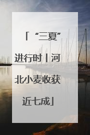 “三夏”进行时丨河北小麦收获近七成