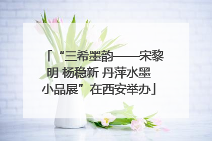 “三希墨韵——宋黎明 杨稳新 丹萍水墨小品展”在西安举办