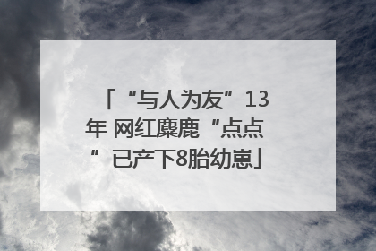 “与人为友”13年 网红麋鹿“点点”已产下8胎幼崽