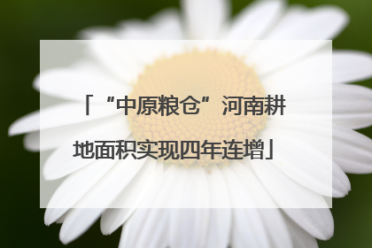 “中原粮仓”河南耕地面积实现四年连增