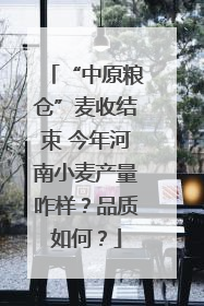 “中原粮仓”麦收结束 今年河南小麦产量咋样？品质如何？