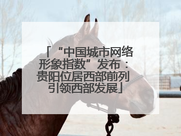“中国城市网络形象指数”发布：贵阳位居西部前列 引领西部发展