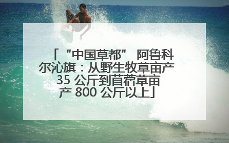 “中国草都” 阿鲁科尔沁旗：从野生牧草亩产 35 公斤到苜蓿草亩产 800 公斤以上