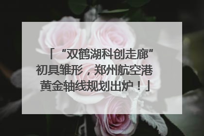 “双鹤湖科创走廊”初具雏形，郑州航空港黄金轴线规划出炉！