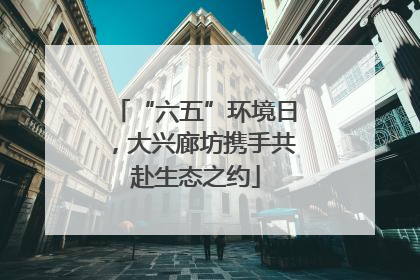 “六五”环境日，大兴廊坊携手共赴生态之约