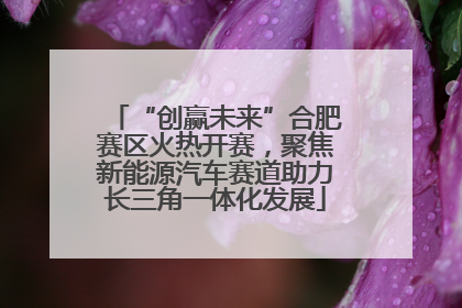 “创赢未来”合肥赛区火热开赛，聚焦新能源汽车赛道助力长三角一体化发展