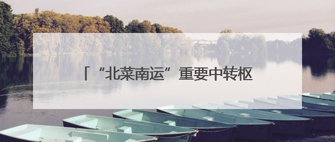 “北菜南运”重要中转枢纽 辽宁新民市打造东北最大产地蔬菜交易中心