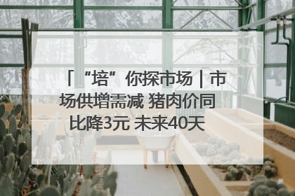 “培”你探市场｜市场供增需减 猪肉价同比降3元 未来40天便宜猪肉敞开吃