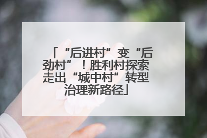 “后进村”变“后劲村”！胜利村探索走出“城中村”转型治理新路径