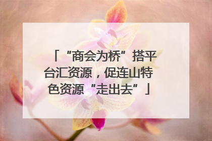 “商会为桥”搭平台汇资源，促连山特色资源“走出去”