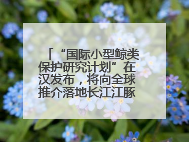 “国际小型鲸类保护研究计划”在汉发布，将向全球推介落地长江江豚保护经验