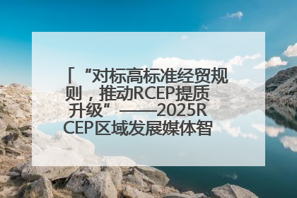 “对标高标准经贸规则，推动RCEP提质升级”——2025RCEP区域发展媒体智库论坛举行专题对话