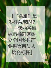 “头雁”是怎样育成的？——陕西省榆林市榆阳区树立全国乡村产业振兴带头人培育标杆