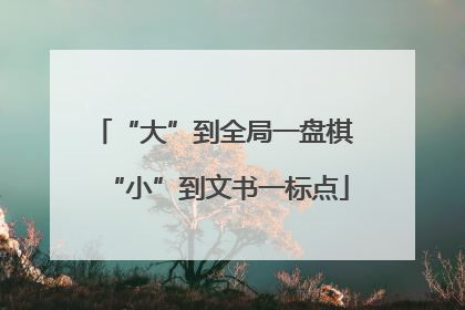 “大”到全局一盘棋 “小”到文书一标点