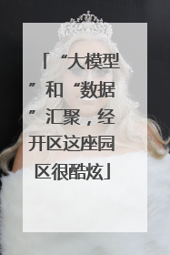 “大模型”和“数据”汇聚，经开区这座园区很酷炫