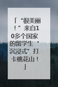 “很美丽！”来自10多个国家的留学生“沉浸式”打卡桃花山！