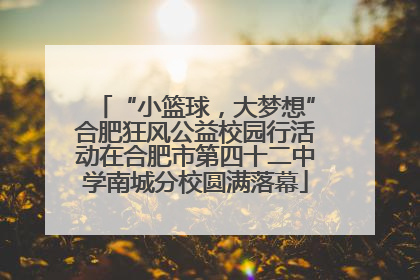 “小篮球，大梦想”合肥狂风公益校园行活动在合肥市第四十二中学南城分校圆满落幕