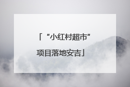 “小红村超市”项目落地安吉