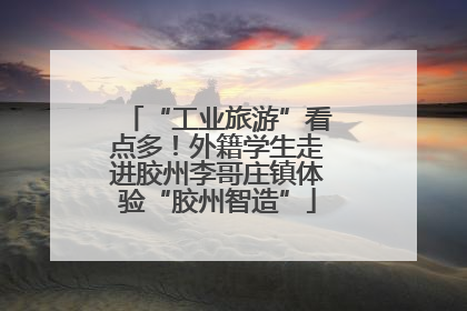 “工业旅游”看点多！外籍学生走进胶州李哥庄镇体验“胶州智造”