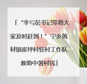 “幸亏彭书记带着大家及时赶到！”宁乡黄材镇崔坪村驻村工作队救助中暑村民