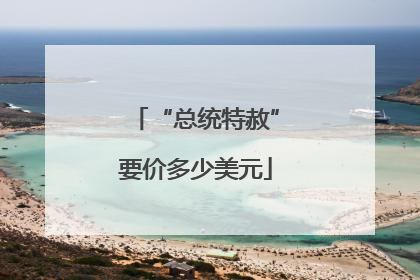 “总统特赦”要价多少美元