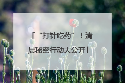 “打针吃药”！清晨秘密行动大公开