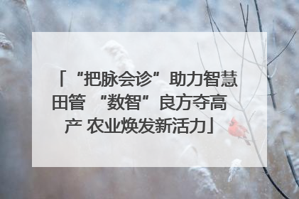 “把脉会诊”助力智慧田管 “数智”良方夺高产 农业焕发新活力