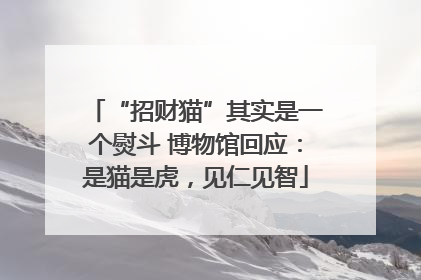 “招财猫”其实是一个熨斗 博物馆回应：是猫是虎，见仁见智