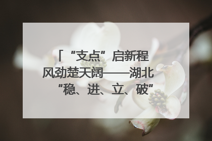 “支点”启新程 风劲楚天阔——湖北“稳、进、立、破”谱写“荆”彩篇章
