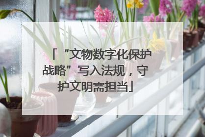 “文物数字化保护战略”写入法规，守护文明需担当