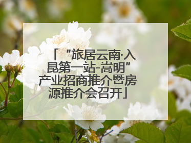 “旅居云南·入昆第一站-嵩明”产业招商推介暨房源推介会召开